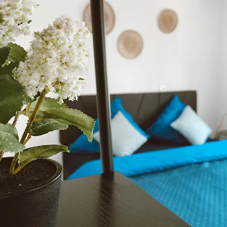Homestay El Haus